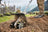 STIHL BF-KM Pick Tine KombiTool image 1