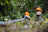 STIHL HLA 86 Cordless Long-Reach Hedge Trimmer Tool Only - Blade Length 50 cm / 20" image 5
