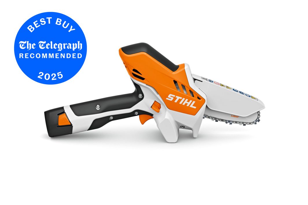 STIHL GTA 26 Garden Pruner Tool Only image 0